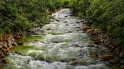 河 水 森林 流 山 海浪 泡沫 强大 电 石头 流动