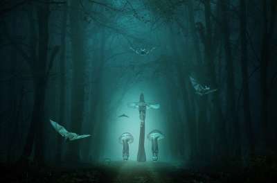森林 林 该死的 恶魔 怪物 可怕的 树木 雾 夜晚 蘑菇