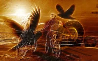 抽象的 鸟类 轮廓 人们 车轮 自行车 骑自行车的人 心 爱