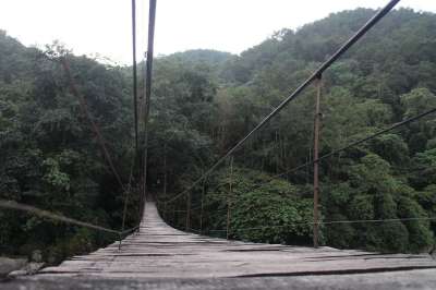 木桥 景观 森林 河 悬腿