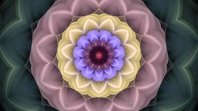 艺术 模型 设计 墙纸 语境 玫瑰花结 花环 曼荼罗 装饰风格