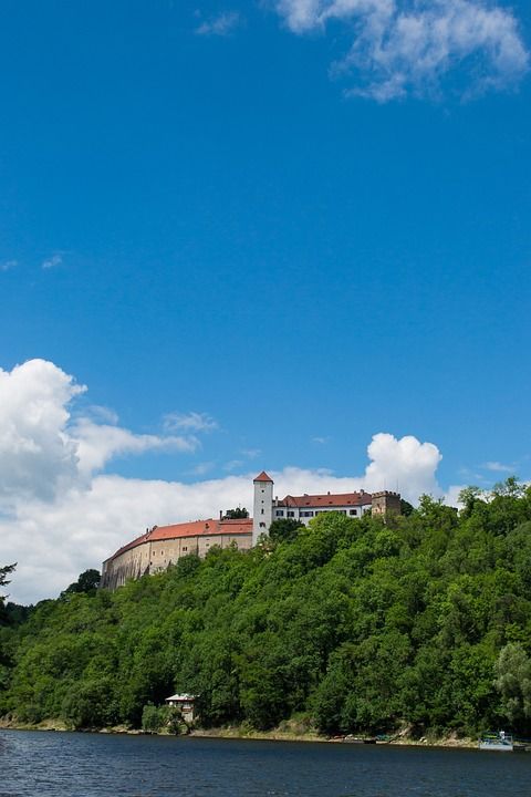 栖息 Bítov 乌鸦 森林 天空 废墟 自然 户外的 幽灵般的