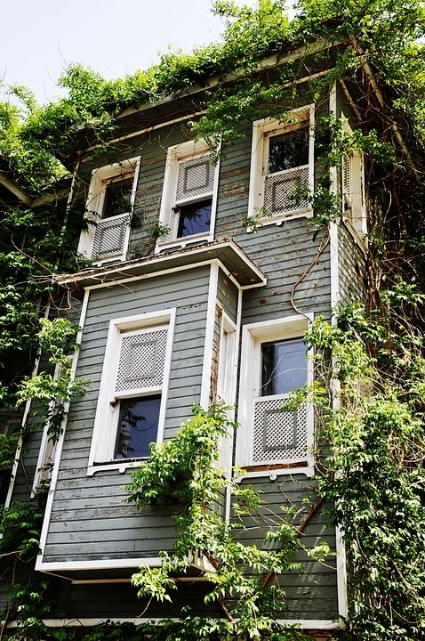 房子 家庭 木头 窗口 建筑学 建造 别墅 旧 木制的 外