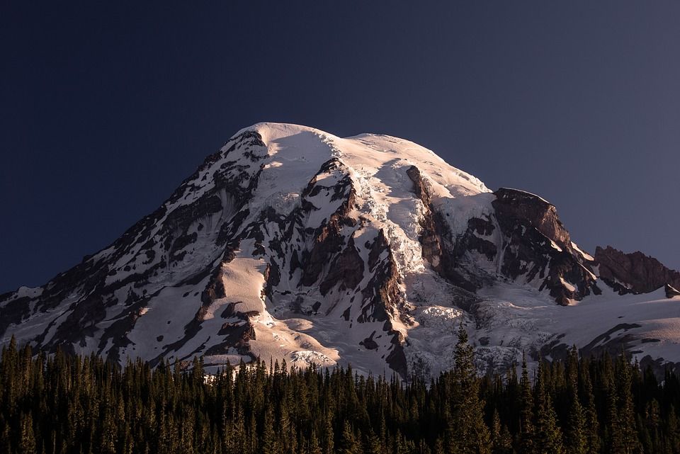 雷尼尔山, 山, 火山, 华盛顿, 国家公园, 公园, 早晨, 景观, 森林