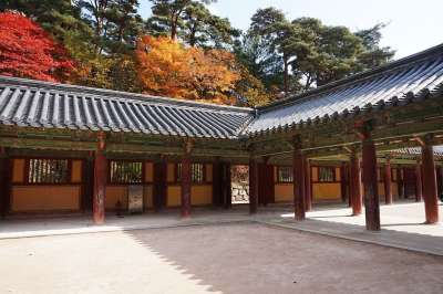 佛国寺 赛车 大韩民国 宗教 韩国 旅游 宫 大自然 节 佛教