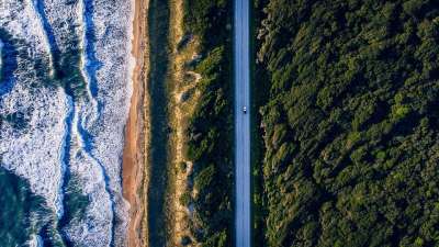 空气 土地 水 海洋 海 绿色 蓝色的 波浪 海滩 草 树木