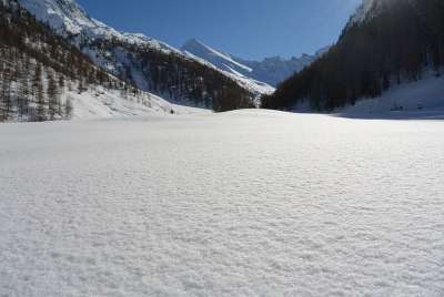雪 景观 不受影响 只是 瑞士 山 天堂 冬天