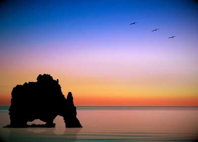 大自然壁纸 自然壁纸 高清壁纸 日落 海洋 海岸 岩石 鸟类 海