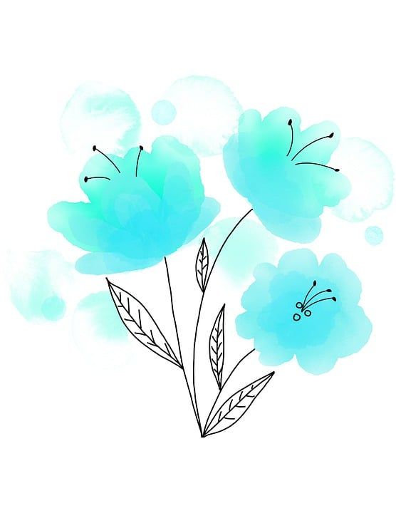 水彩的花朵 水彩花 水彩 画 丰富多彩的 设计 绘画 自然 花束