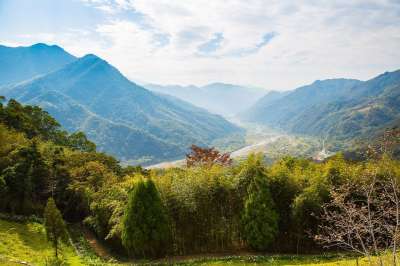 山 大自然 景观 旅游 鸟瞰 薰衣草 薰衣草森林