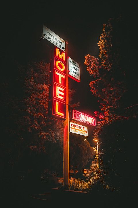 树木 邮政 汽车旅馆 标牌 灯 黑暗的 夜晚 草 植物 建立