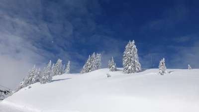 蒂罗尔 哈嫩卡姆冬天 雪 冬季景观 冰冷的 白色的
