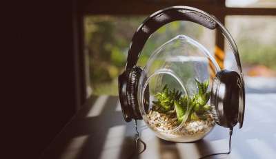 耳机 平静的 植物 绿色 树叶 音乐 歌曲