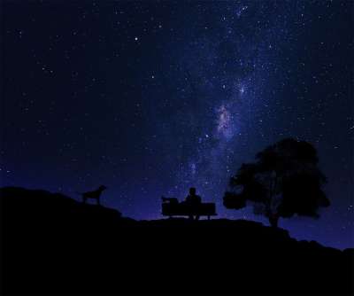 轮廓 夜 树 狗 星级 满天星斗的天空 山 夫妇 银行