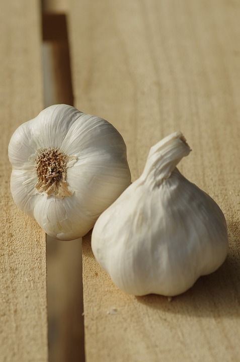 大蒜 大蒜白 栽培大蒜 食物 收获 蔬菜 食品 风味 文化
