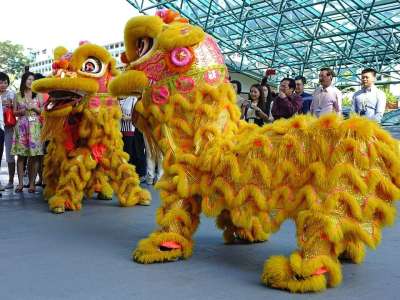 舞狮 中国人 传统 新的一年 运气 跳舞 亚洲人 节日 表现