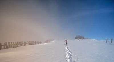 冬天 雪 多雾路段 太阳 景观 冬季景观 雪景 冬季魔法 神秘