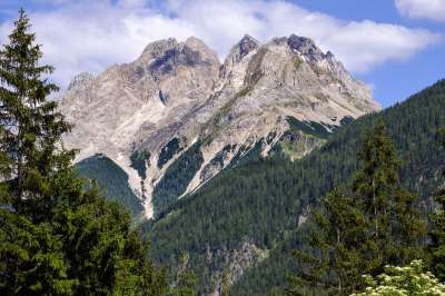 景观 阿尔卑斯山 山 全景 岩石