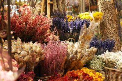 高清壁纸 花 花卉收藏 花束 干花 壁纸 周年纪念日 荷兰