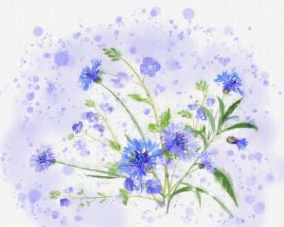 花朵 水彩 绘画 溅