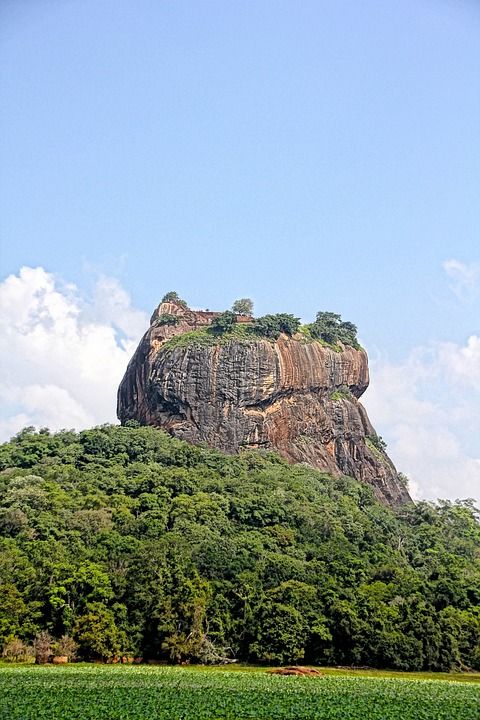 狮子山 斯里兰卡 假期 游客 自然 天堂 景观 佛教 山