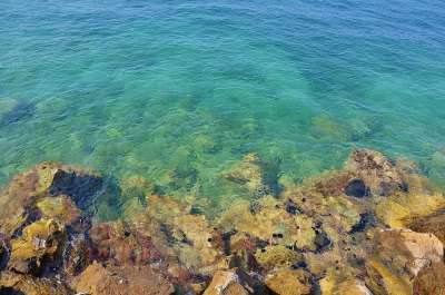 海 海洋 水 日落 海滩 日出 景观 河 看法 背景 游客