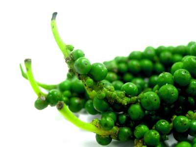 抗氧化剂 芳香 灯笼椒 黑色的 黑胡椒 圆圈 厨师 烹饪 玉米
