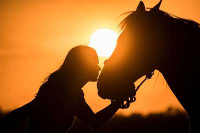 马 女孩 剪影 日落 动物 哺乳动物 Equestrienne