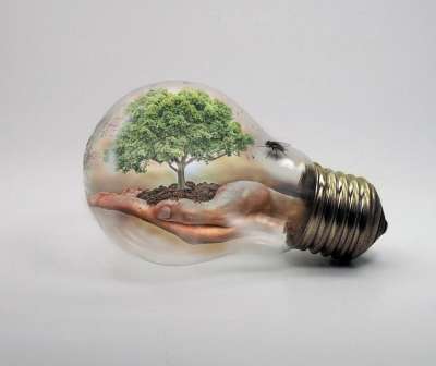 电灯泡 自然 Ecologycurrent 气候变化 树 手 绿色