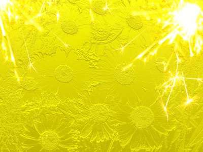 背景 花的 金的 阳光明媚 春天 复活节 节日 花 金子