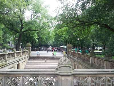 中央公园 纽约城 纽约 纽约市 美国 城市的 楼梯 曼哈顿 公园