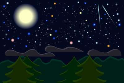 夜晚 星星 天空 天文学 空间 自然 黑暗的 月亮 景观 森林