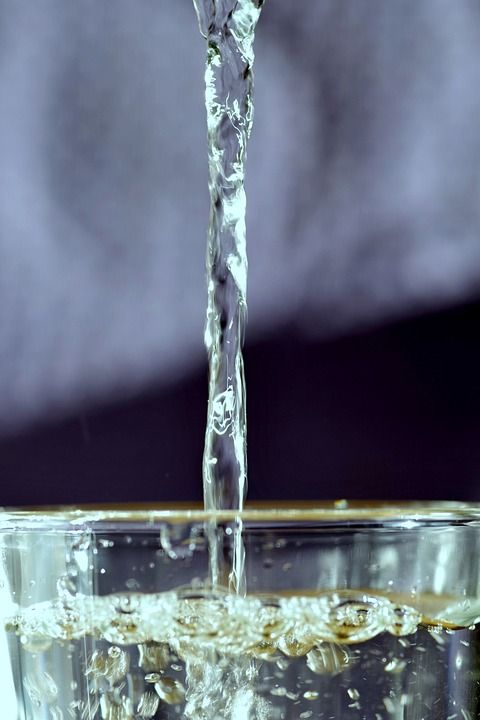 水流 水 喝 透明 流动的水 喷出 湿 溅起的水花 杯 灌溉