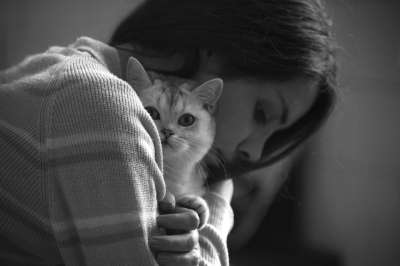 女孩 猫 拥抱 单色 宠物 动物 猫科动物 女士 偎 爱
