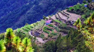 Cardillera 山 地区 萨加达 吕宋岛 梯田 白饭 蔬菜