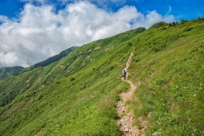 徒步旅行 白山 国家公园 踪迹 夏季 日本