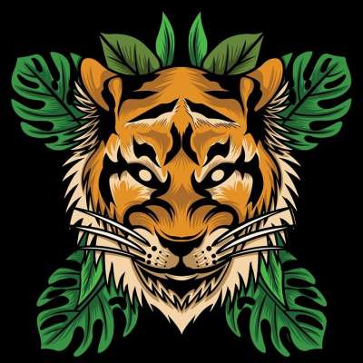 狮子 野生动物 画画 草图 猫科动物 动物 哺乳动物 自然 猫