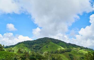 自然 景观 山 天空 云 绿色 蓝色的 树木 森林 美丽