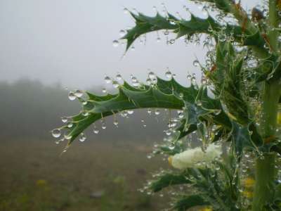 雨 楼层 滴 秋天