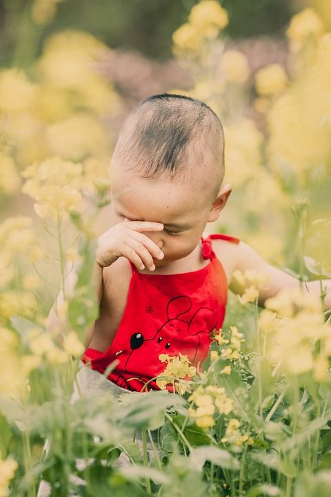 孩子 男孩 花朵 草地 可爱的 年轻 童年 婴儿 学步的儿童