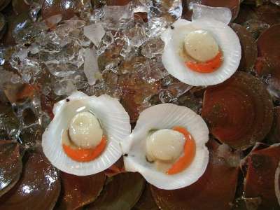 贝类 冰 新鲜的 海鲜 生的 美食家 健康 寒冷的 餐厅