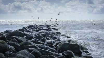 北海 海 海滩 水 海边 景观 海岸 丹麦