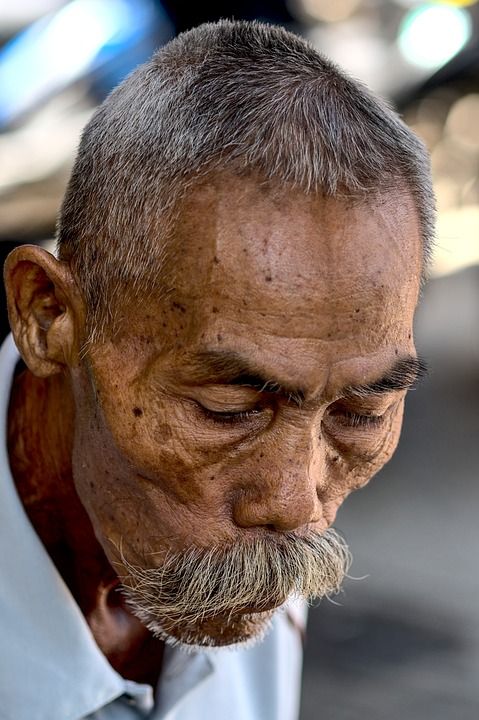 老人 胡子 爷爷 祖父 肖像 外形 灰色的头发 老年 成人