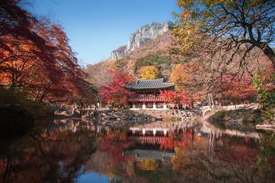 白羊寺 寺庙 落下 秋天 湖 水 反射 树木 山 公园