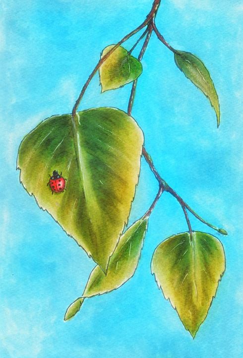 白桦树 绘画 瓢虫 昆虫 叶子 自然 树叶 草图 画画 水彩