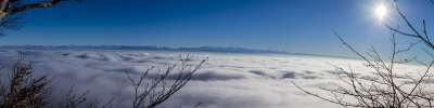 阿尔卑斯山 太阳 瑞士 景观 自然 冬天 天蓝色 冬季灌木丛