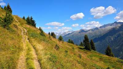 踪迹 山 景观 小路 外表 树木 阿尔卑斯山 自然 全景