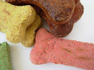 狗骨头 小狗 宠物 狗粮 食物 碗 动物 骨 补给品 狗饼干