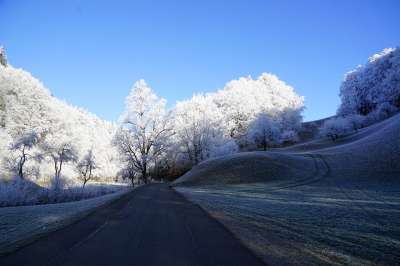 树木 路 冬季景观 霜 冬天 冰冷的 雪 寒冷的 冰淇淋 分行