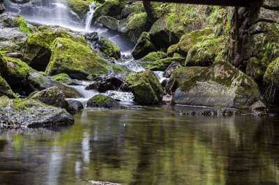 水域 自然 流动 短裙 瀑布 Moss水 级联 景观 山 移动